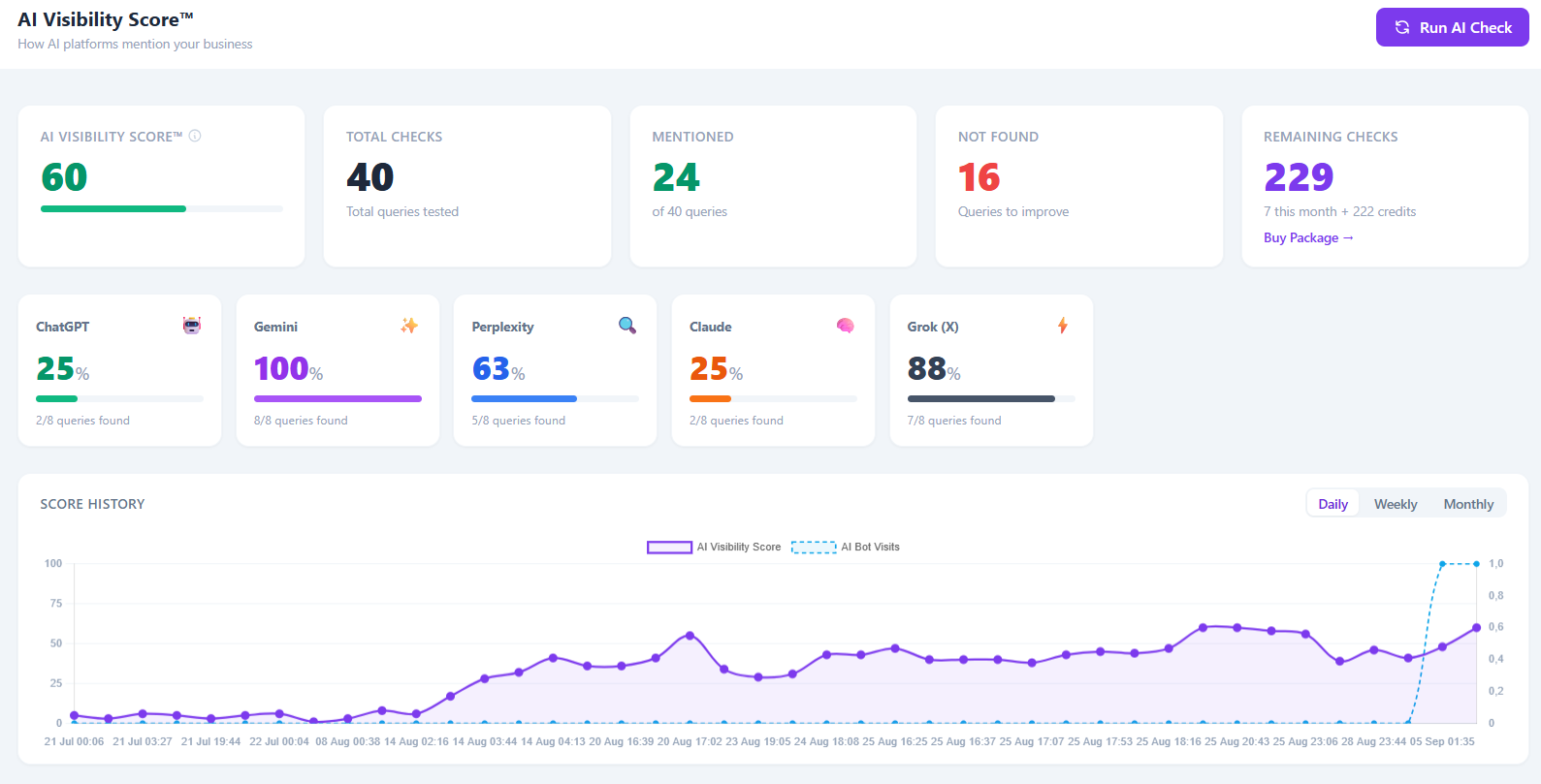 AI Visibility Score page
